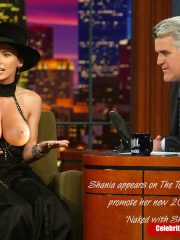Shania Twain Celebrities Naked image 1 