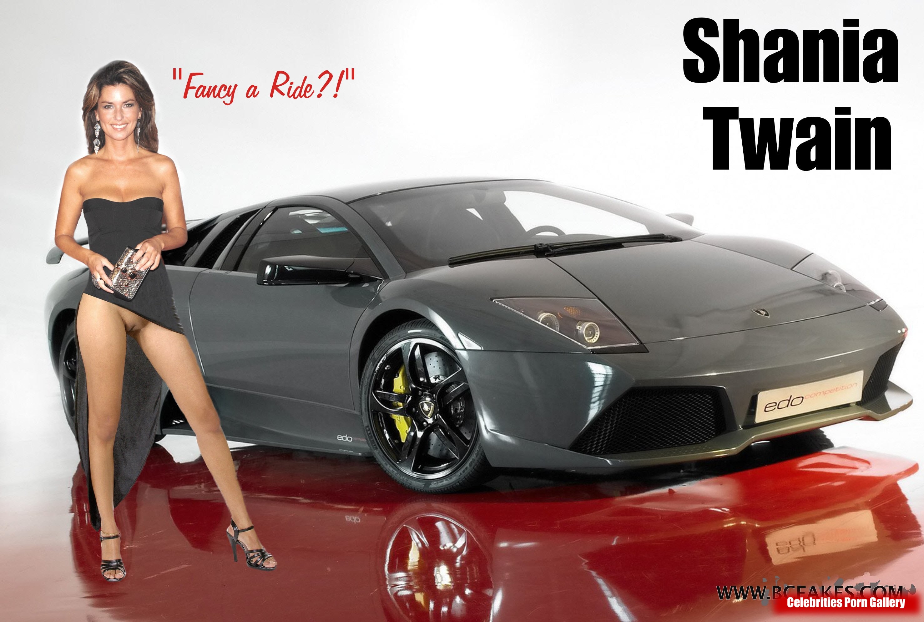 Shania-Twain-naked-img-014
