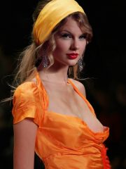 T Swift Celebrity Leaked Nude Photos image 20 