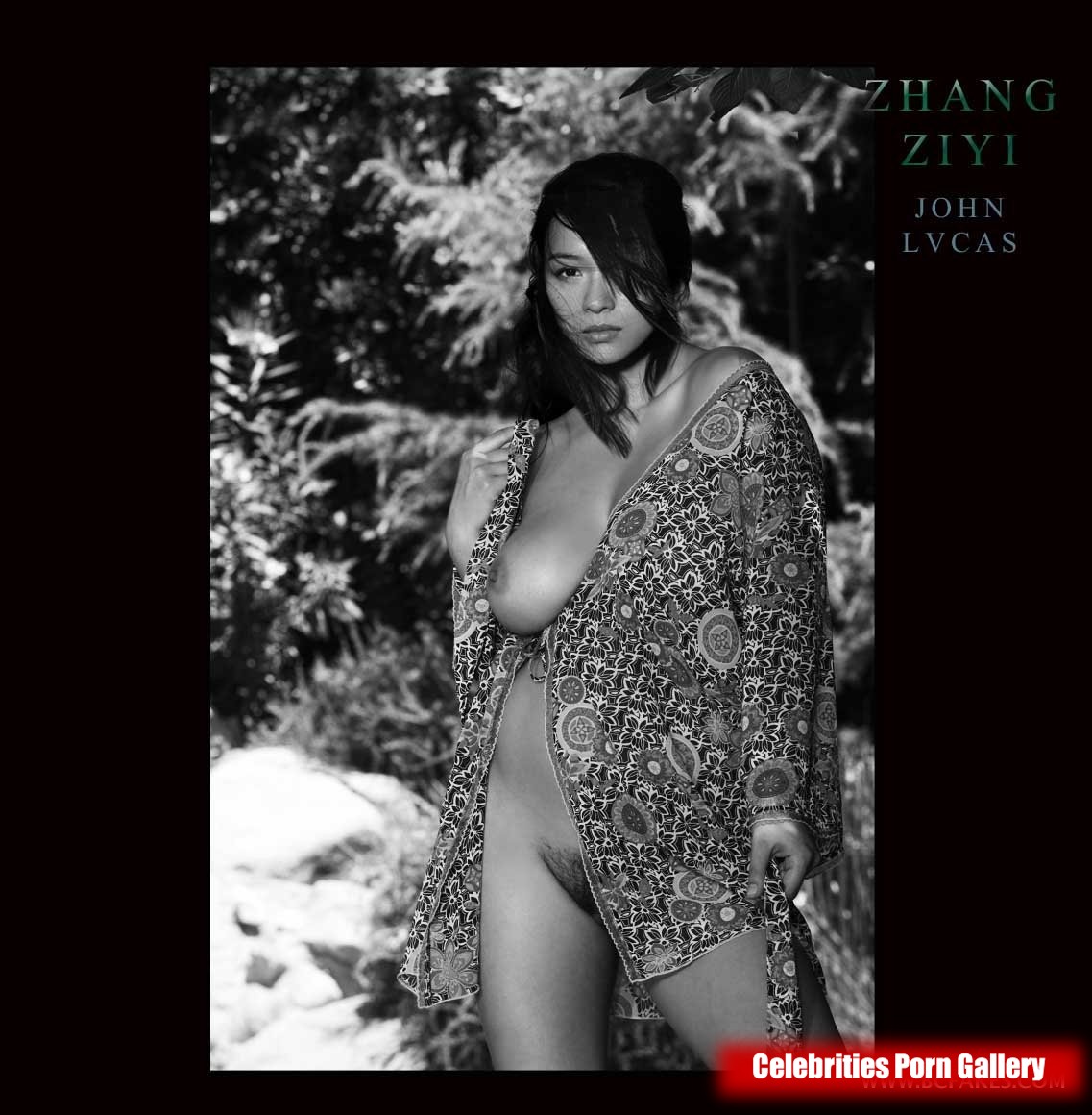 Zhang-Ziyi-nude-celebs-img-010